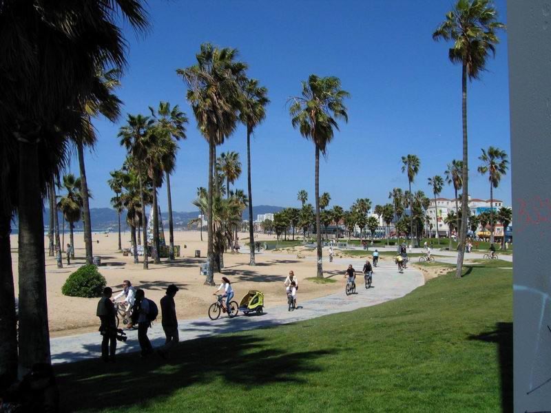 images of venice beach